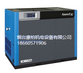 招遠(yuǎn)螺桿式無油空壓機(jī)